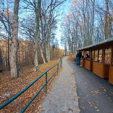 بيت للعطل Tosic *